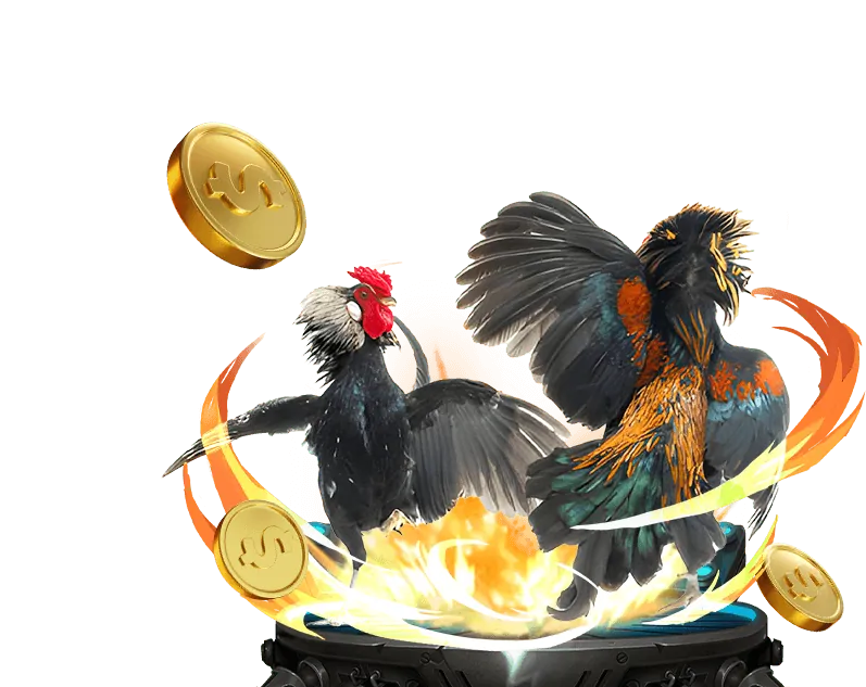 Các chương trình khuyến mãi casino 123zdo win